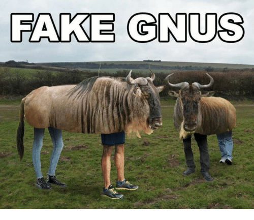 Fake Gnus